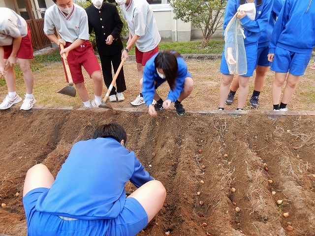 ボランティア部